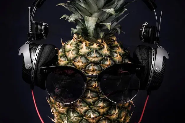 Ile zarabia DJ na weselu? Zaskakujące stawki i czynniki wpływające na wynagrodzenie
