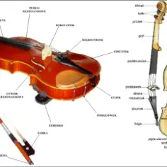 Ile strun mają skrzypce? Wszystko, co musisz wiedzieć o tym instrumencie.