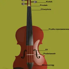 Jak wyglądają skrzypce: Wizualny przewodnik po budowie instrumentu