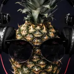 Ile zarabia DJ na weselu? Zaskakujące stawki i czynniki wpływające na wynagrodzenie