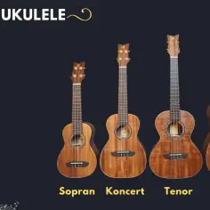 Jakie ukulele dla początkującego? 5 kluczowych wskazówek wyboru