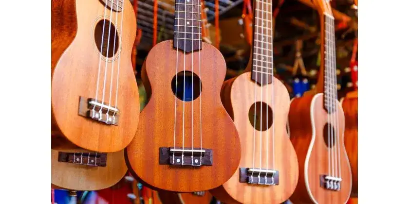 Zdjęcie Ukulele tenorowe czy koncertowe: Które wybrać? Porównanie