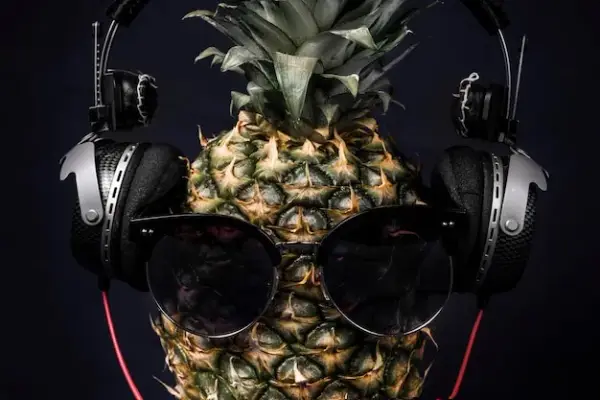 Ile zarabia DJ na weselu? Zaskakujące stawki i czynniki wpływające na wynagrodzenie