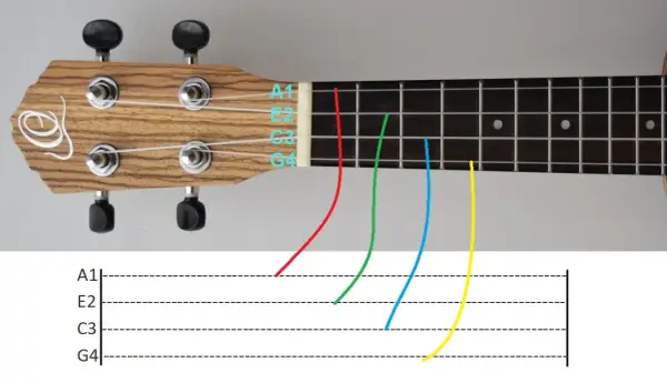 Ile trwa nauka gry na ukulele? Poznaj etapy postępów i tajniki!